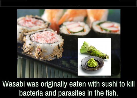 Wasabi, bacterie, Japan, parasieten, sushi